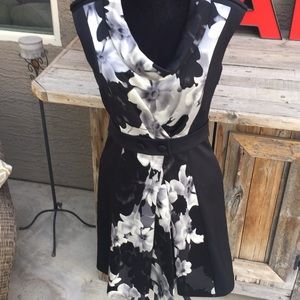 Cynthia Steffe Dress